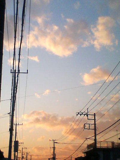 200812231628000.jpg