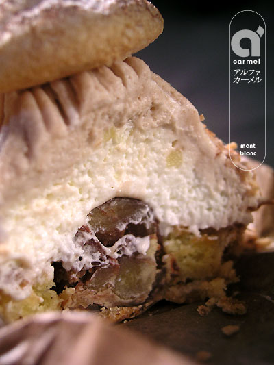 alpha_carmel_mont_blanc2.jpg