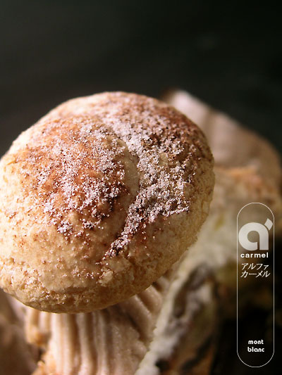 alpha_carmel_mont_blanc3.jpg