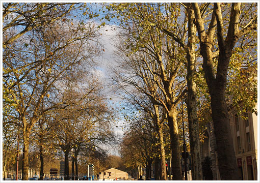 Paris dans la Fin de l'Automne