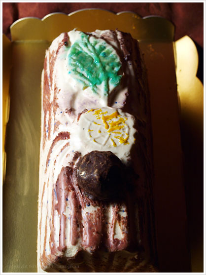 rbVEhEmGEgtFBûches de Noël Truffe