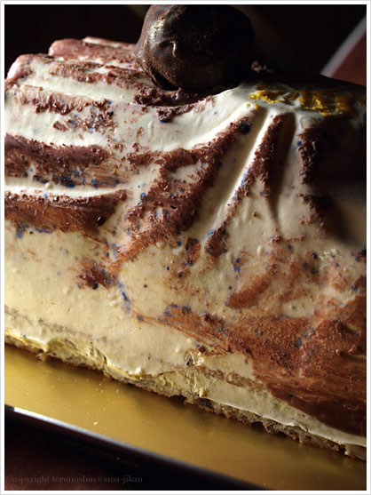 rbVEhEmGEgtFBûches de Noël Truffe