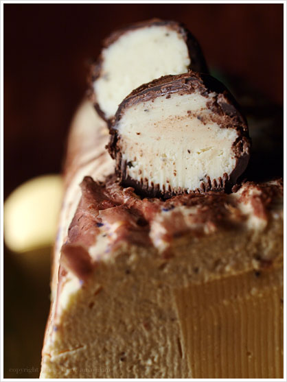 rbVEhEmGEgtFBûches de Noël Truffe