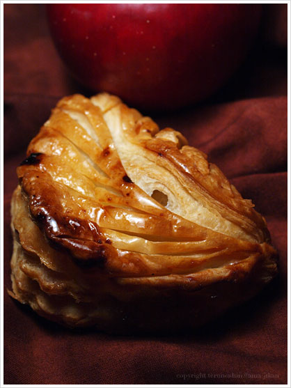 V[\EIE|FChausson aux Pommes