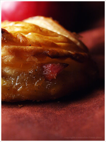 V[\EIE|FChausson aux Pommes
