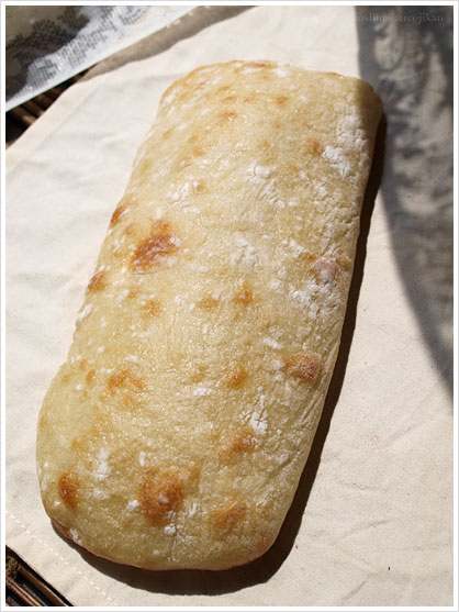 チャバタ:Ciabatta