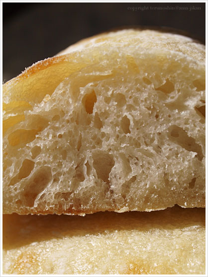 チャバタ:Ciabatta