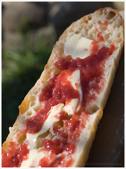 Confiture aux Mara des Bois
