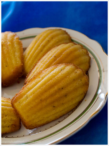 Madeleine