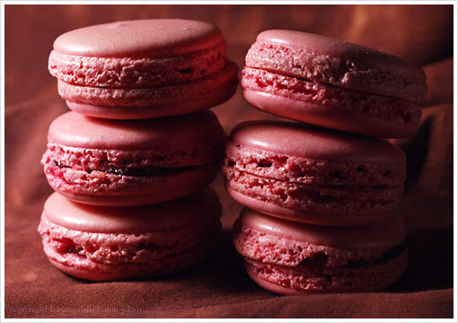 マカロン(フランボワーズ):Macaron Framboise