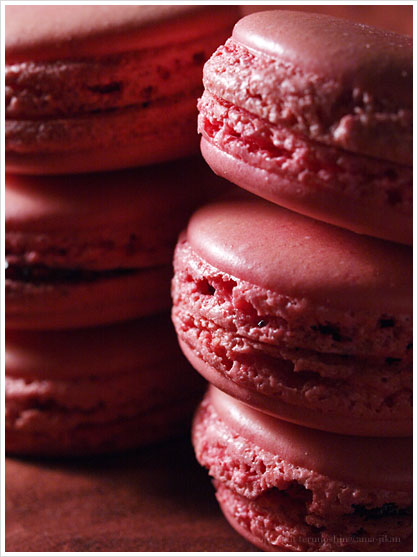 マカロン(フランボワーズ):Macaron Framboise