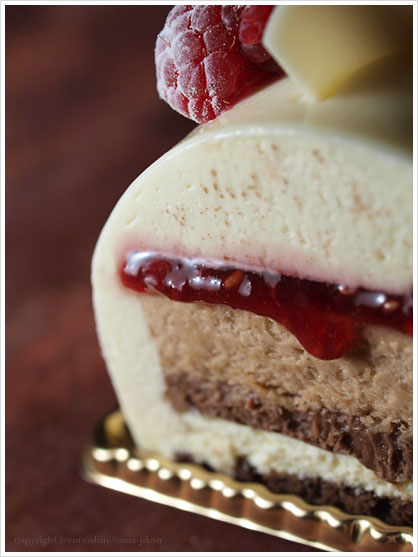 concent_chocolat_blanc_et_noisette.jpg