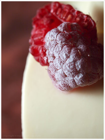 concent_chocolat_blanc_et_noisette2.jpg