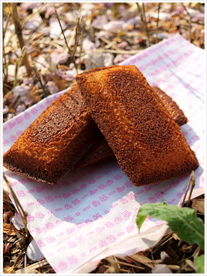 Financier