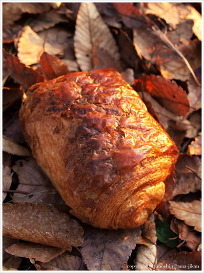 Pain au Chocolat