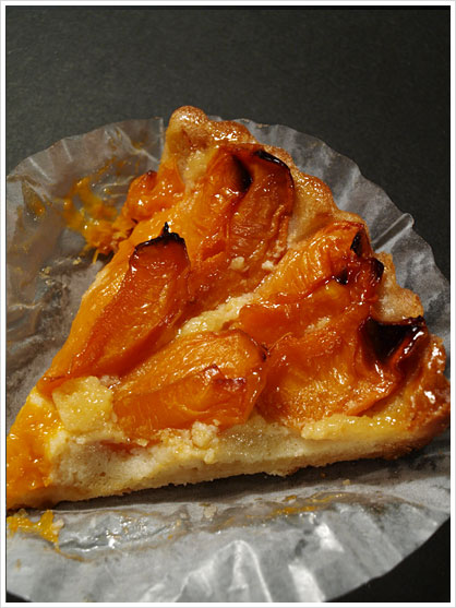 Tarte Saison - Abricot -