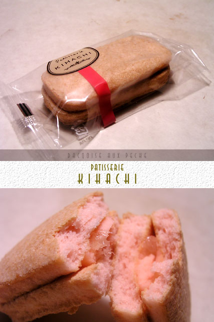 kihachi_dacqoiseauxpeche.jpg