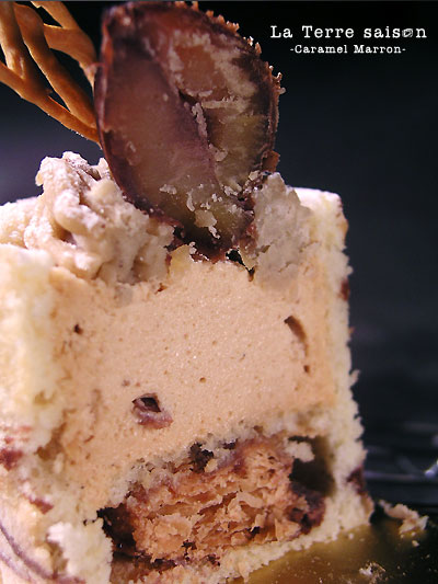 la_terre_saison_caramel_marron2.jpg