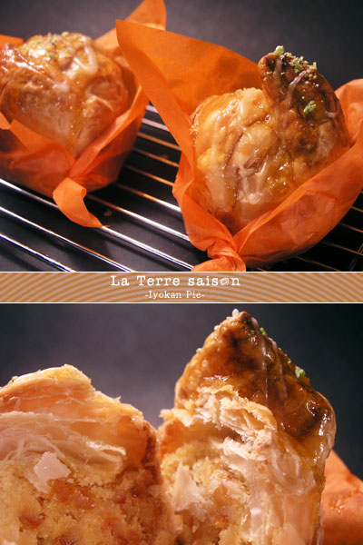 la_terre_saison_iyokan_pie.jpg
