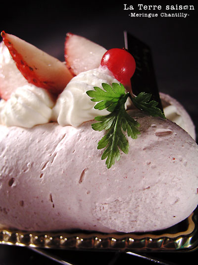la_terre_saison_meringue_chantilly2.jpg