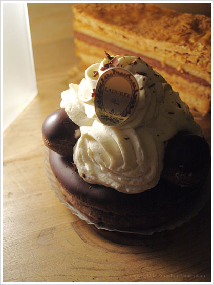 LADURÉE:Saint Honoré Vanille Chocolat