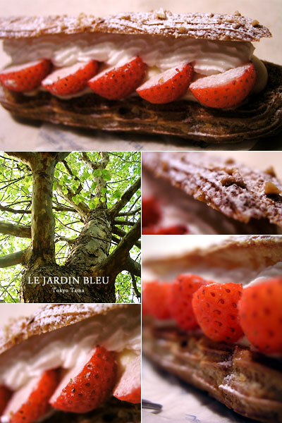 lejardinbleu_eclair_fraise.jpg