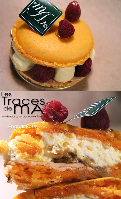 les_traces_de_ma_ananas_rose.jpg