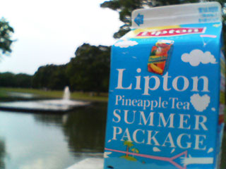 lipton_pineapple_tea_summer_package.jpg