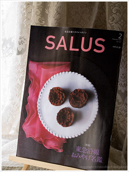 magazine_salus_2010_02.jpg