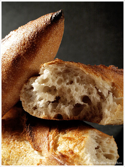 Baguette Monge