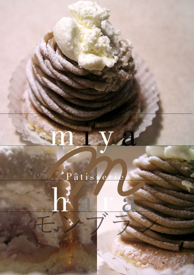 miyahara_mont-blanc.jpg