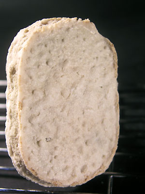 muji_dacquoise_the_vert1.jpg