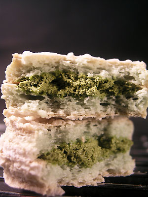 muji_dacquoise_the_vert2.jpg