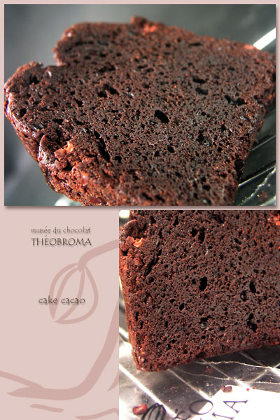 musee_du_chocolat_theobroma_cake_cacao.jpg