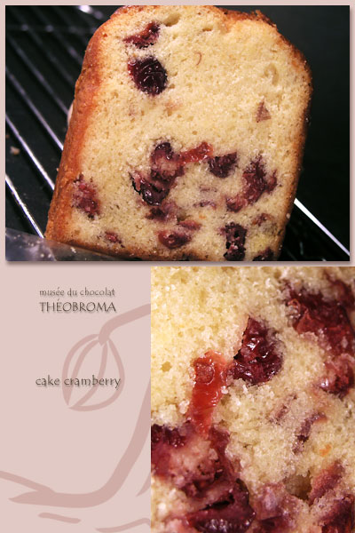 musee_du_chocolat_theobroma_cake_cramberry.jpg