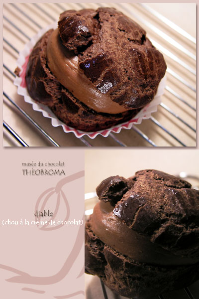 musee_du_chocolat_theobroma_diable.jpg
