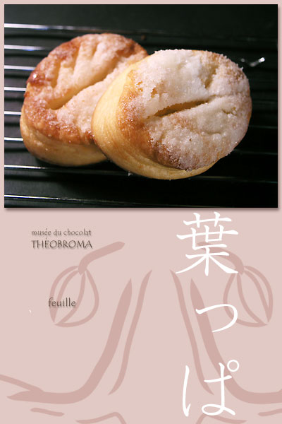 musee_du_chocolat_theobroma_feuille.jpg