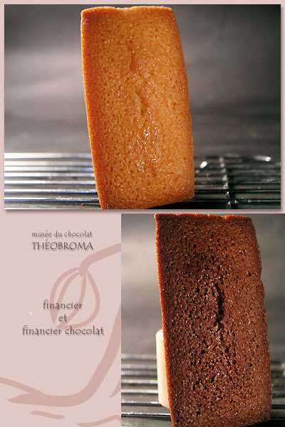 musee_du_chocolat_theobroma_financier_et_financier_chocolat.jpg