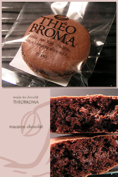 musee_du_chocolat_theobroma_macaron_chocolat.jpg