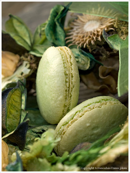 Macaron Pistache