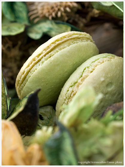 Macaron Pistache