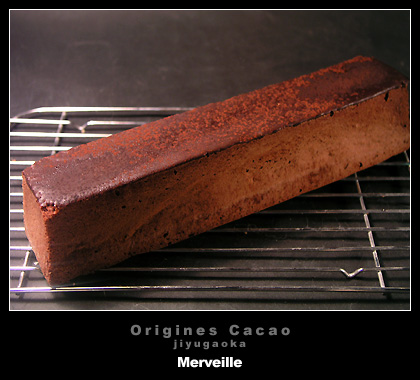 origines_cacao_merveille1.jpg