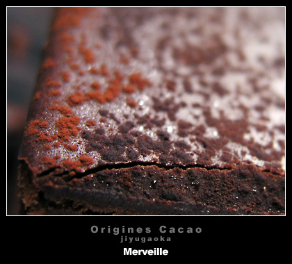 origines_cacao_merveille2.jpg