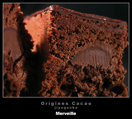 origines_cacao_merveille3.jpg