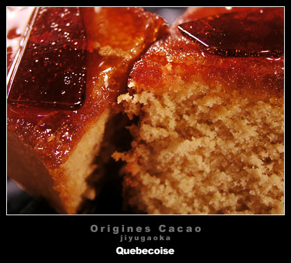 origines_cacao_quebecoise2.jpg