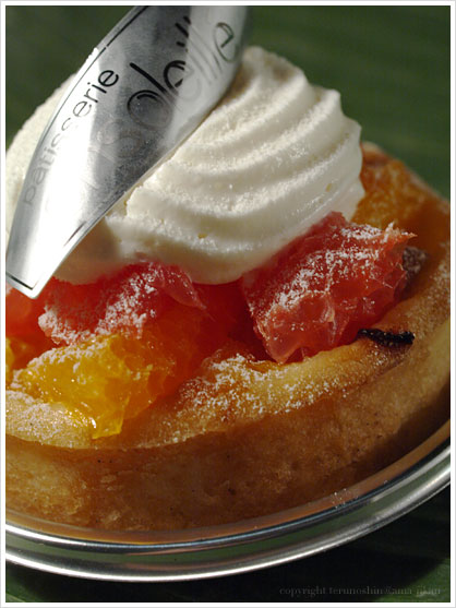 ^gEAOEFTarte aux Agrumes