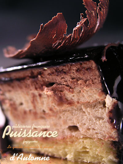 puissance_d'automne2.jpg