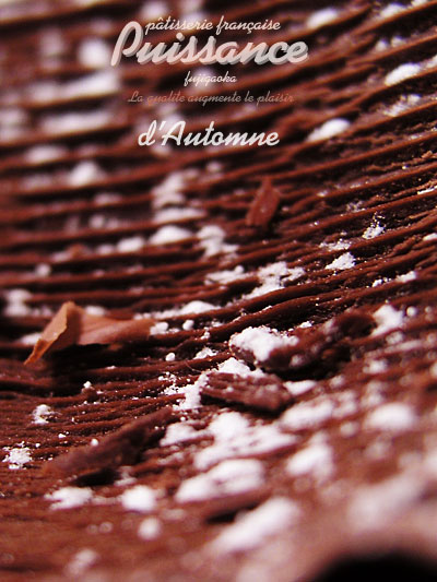 puissance_d'automne4.jpg