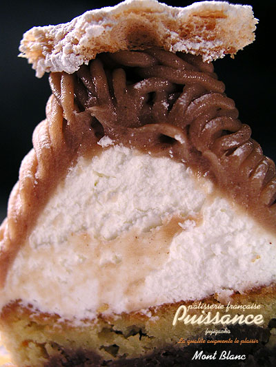 puissance_mont_blanc2.jpg