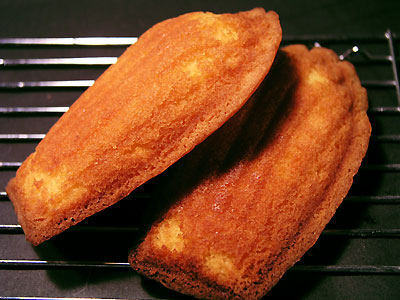 rakuten_sucre_madelaine1.jpg